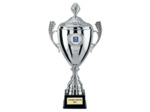Coupe argt 54cm + couvercle bol
