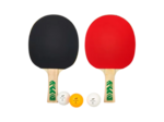 Pro 2000 - 2 player