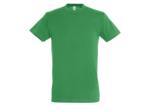 T-shirt regent junior