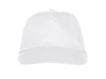 Texas bull cap