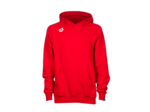 Sweat a capuche team panel jr