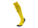 Chaussettes liga core