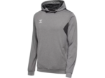 Hmlauthentic pl hoodie