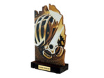 Trophee bois cyclisme h 22 cm