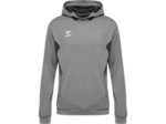 Hmlauthentic pl hoodie