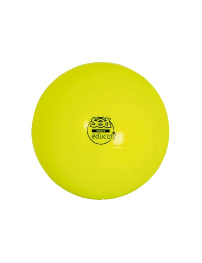 Ballon de volley educatif sea
