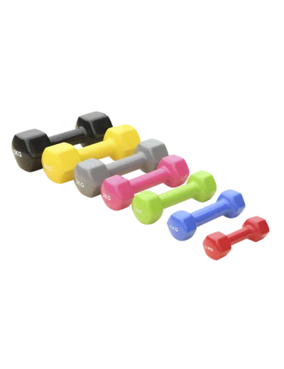 Paire d'halteres vinyle