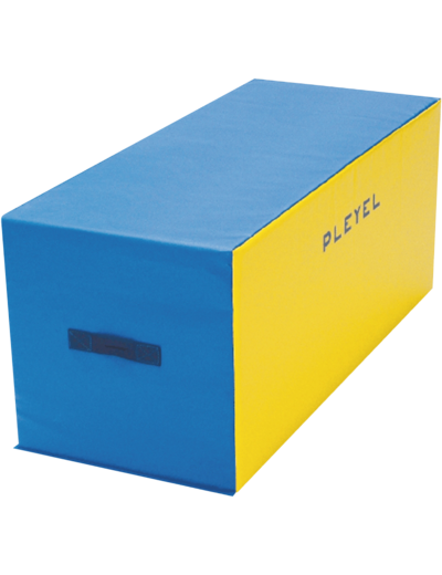Module rectangulaire