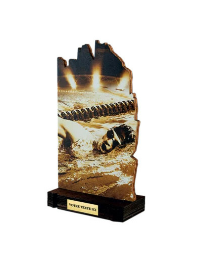 Trophee bois natation h 22 cm