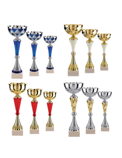 Lot de 12 coupes 2023 h moy 34,6cm