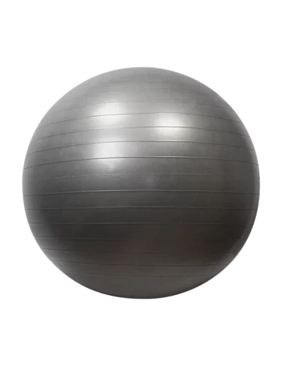 Gymball/balle gymnique 75cm
