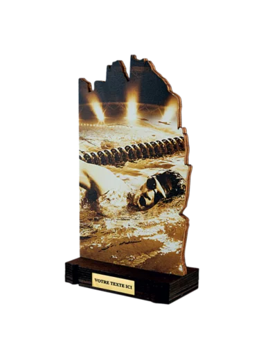 Trophee bois natation h 22 cm