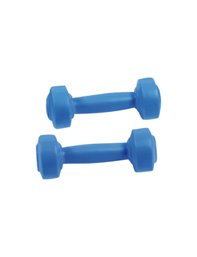 Paire d'halteres ciment