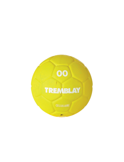 Ballon handball cellulaire t1