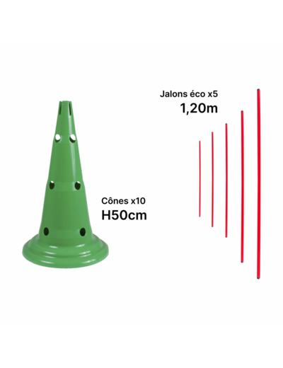 Kit mini-haies 50 cm
