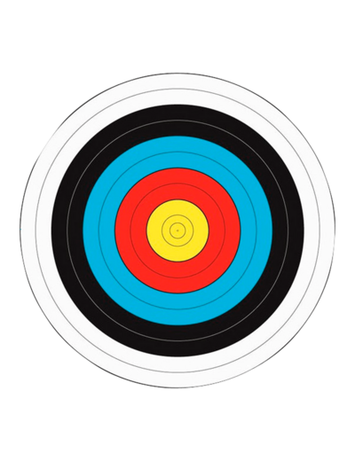 Lot de 12 blasons cibles 60 cm