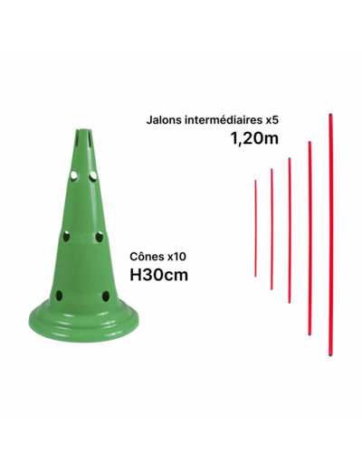Kit mini-haies 30 cm
