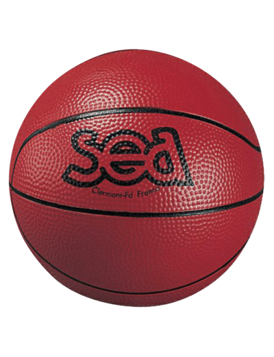 Ballon basketball decouverte