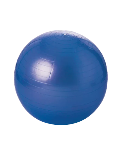 Balle gymnique - 55 cm