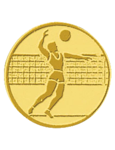 Pb 104 volley homme alu 25mm