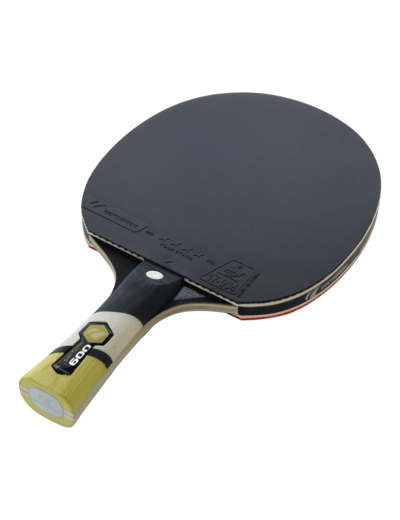 Raquette de tennis de table perform 600