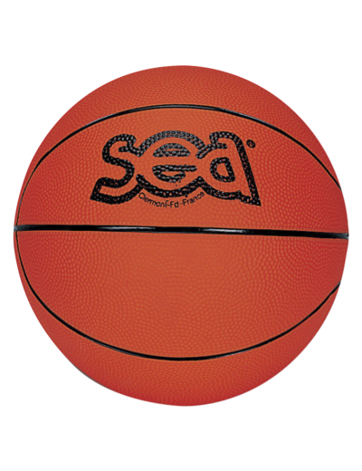 Ballon basketball futur champ