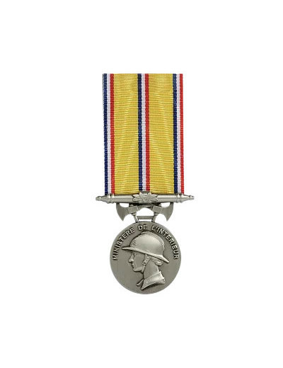 Med d'anciennete pompiers-20 ans