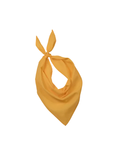 Couleur-dc075ac5-0819-48ad-81b1-7383ccf8cbfa