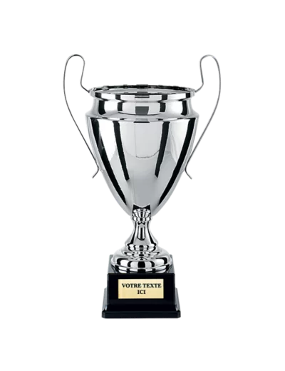 Coupe argent h.44cm bol diam180mm