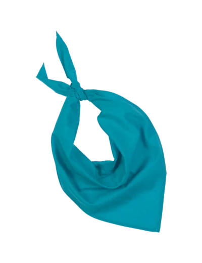 Couleur-647fef3e-4f59-4967-8057-0ec38eef83b7