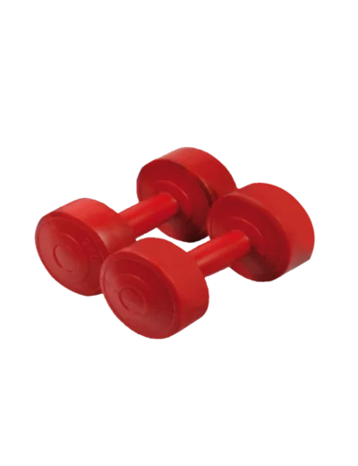 Paire d'halteres ciment