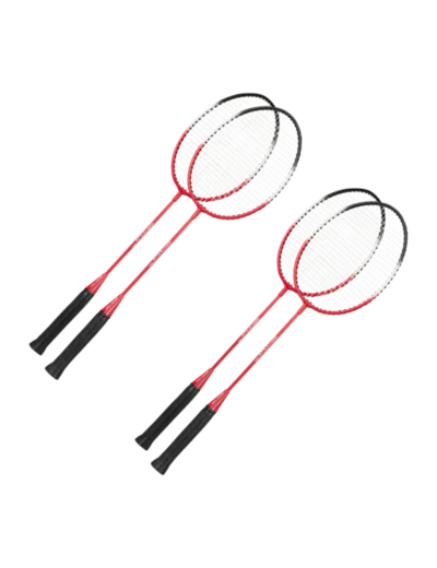 Speed 100 - 4 players net set