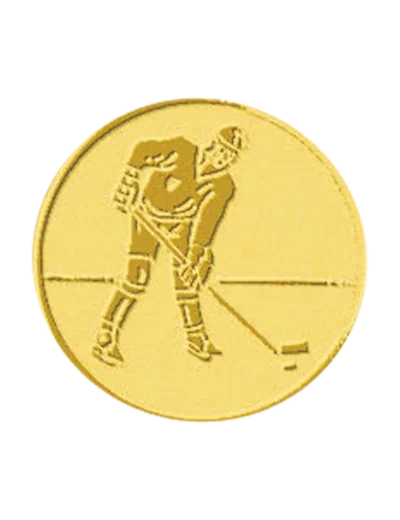 Pb 53 hockey glace alu 25mm