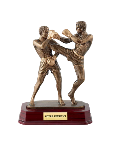 Trophee resine kickboxing h. 24 cm