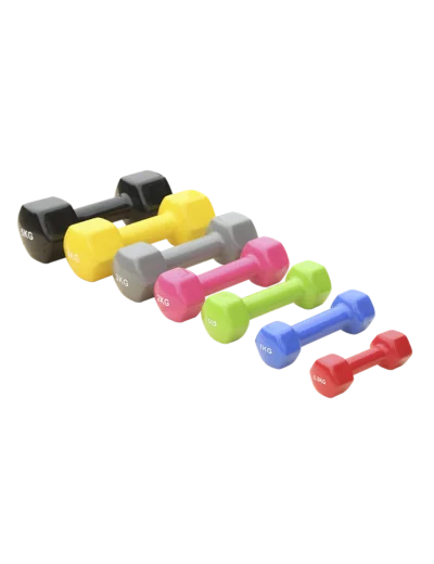 Paire d'halteres vinyle