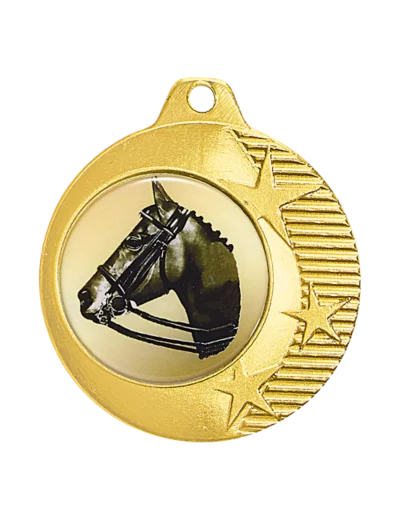 Medaille fer 40mm or