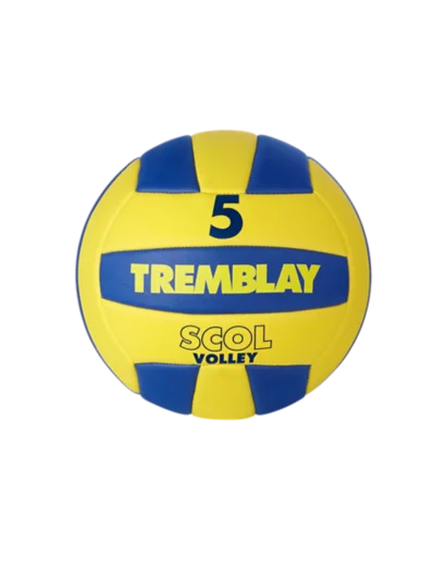Ballon volley  scolaire taille 5