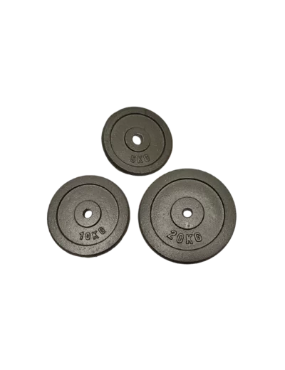 Poids disque en fonte 10 kgs