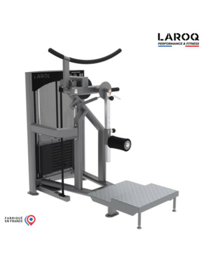 Module extension hanche