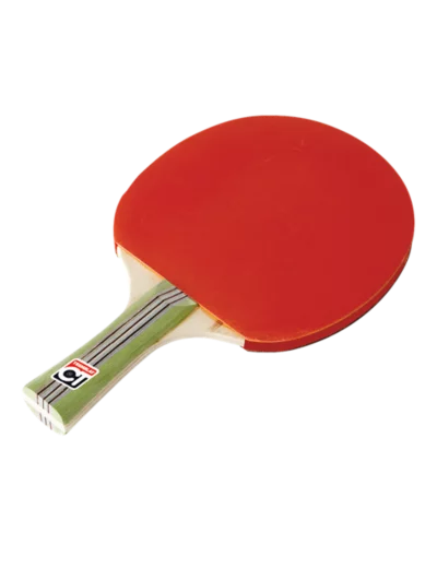 Raquette de tennis de table