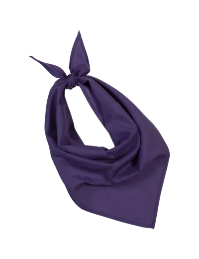 Couleur-4a20d5eb-16d3-4e09-a1b2-2ecb6e7b0577