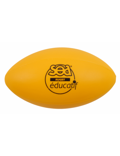 Ballon rugby éducatif