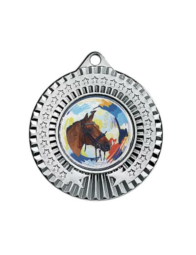 Medaille fer diam45mm argent