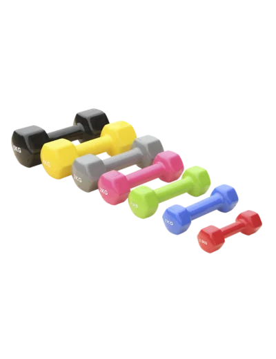 Paire d'halteres vinyle