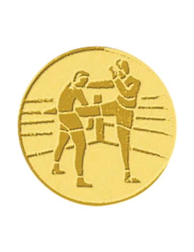 Pb 17 boxe francaise alu 25mm