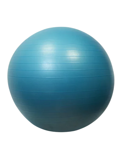 Gymball/balle gymnique 65cm