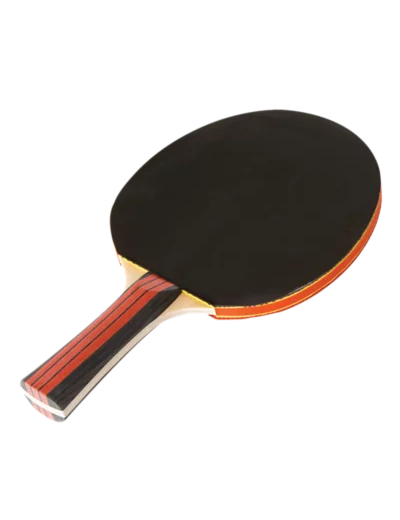 Tennis de table - raquette entraine