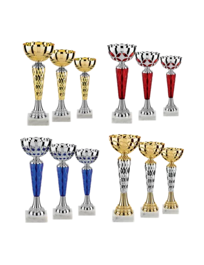 Lot de 12 coupes 2020 h. moy 21cm