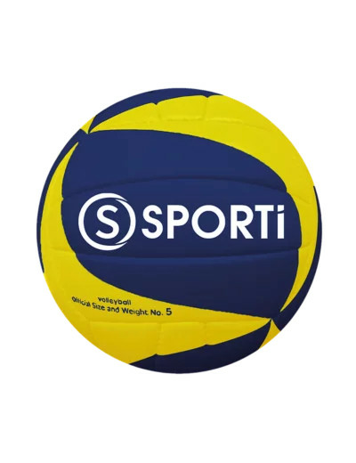 Ballon de volley-ball entraînement