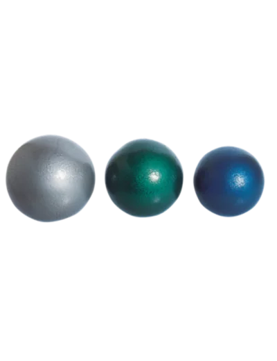 Poids scolaire en fonte - 7.26 kg